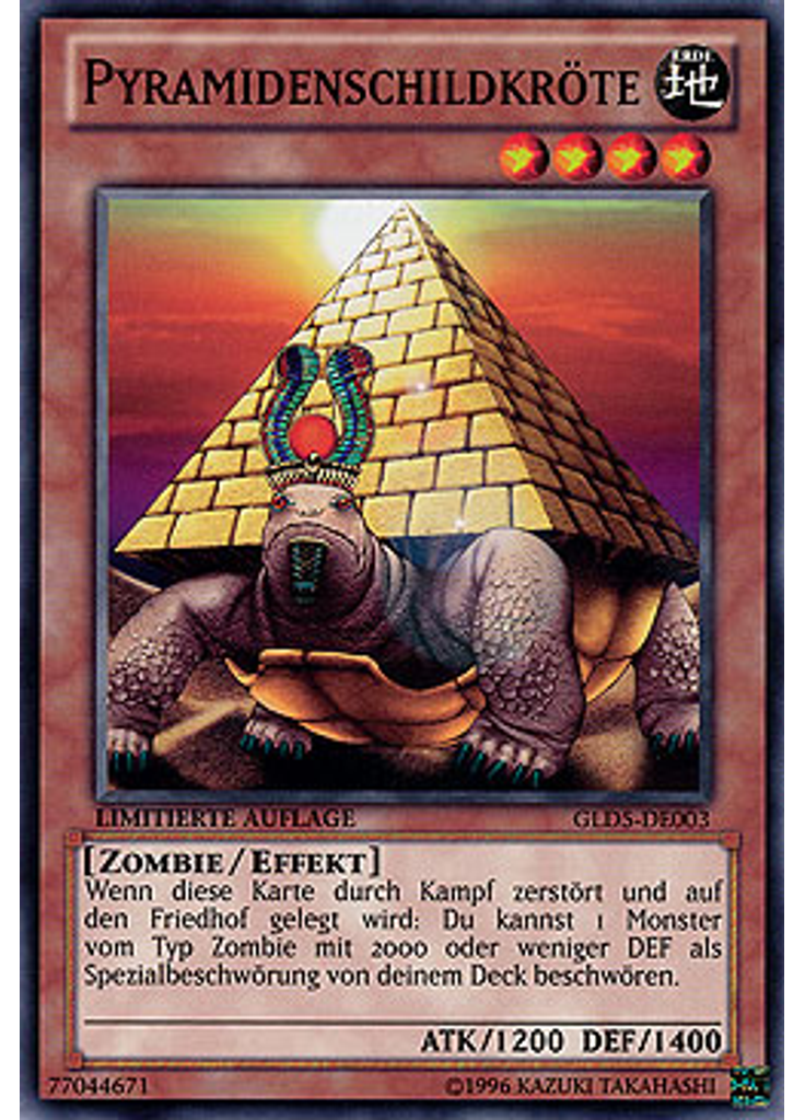 Pyramidenschildkröte
