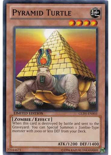 Pyramid Turtle