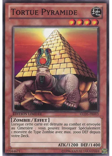 Tortue Pyramide