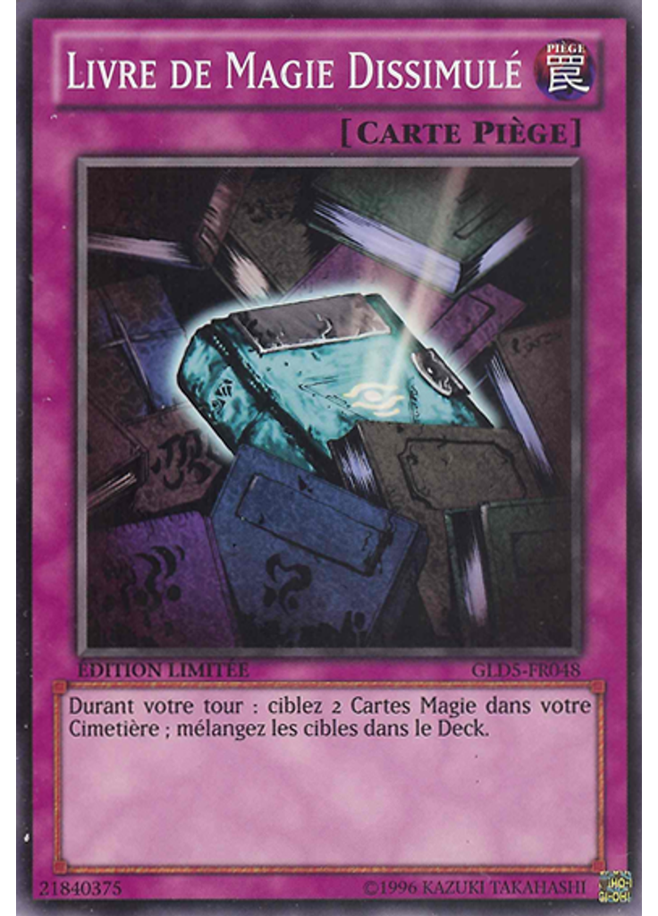 Livre de Magie Dissimulé