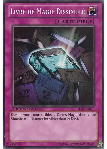 Livre de Magie Dissimulé