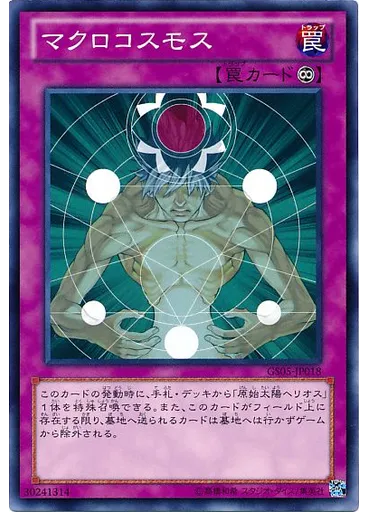 マクロコスモス