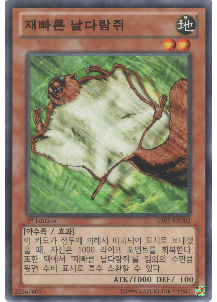 재빠른 날다람쥐