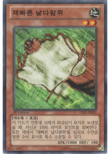 재빠른 날다람쥐