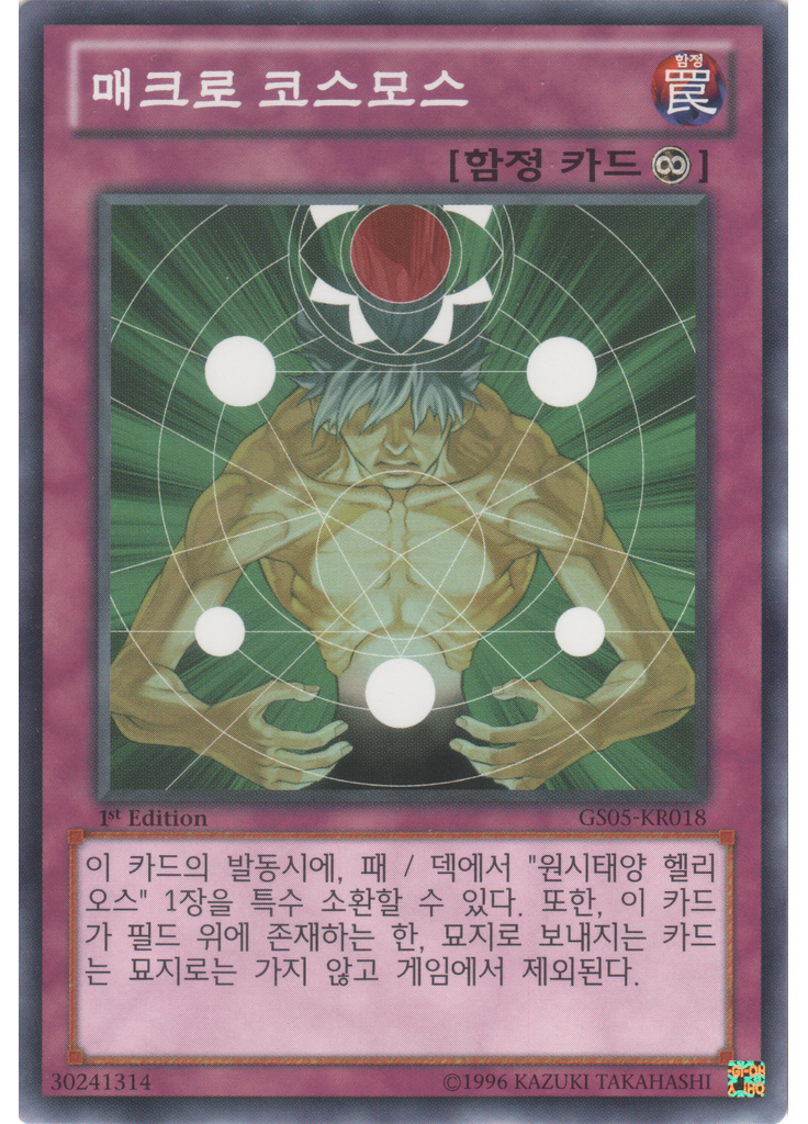 매크로 코스모스