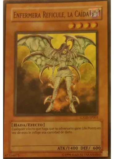 Señoroscura Enfermera Reficule