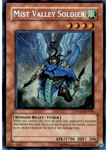 Mist Valley Soldier