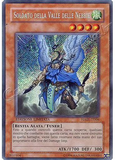 Soldato della Valle delle Nebbie