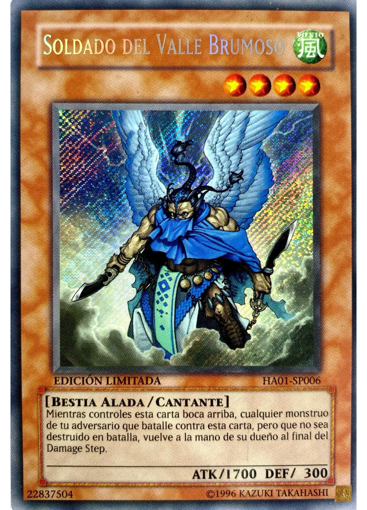 Soldado del Valle Brumoso