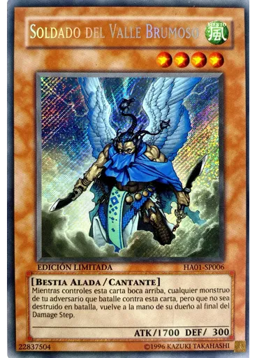 Soldado del Valle Brumoso
