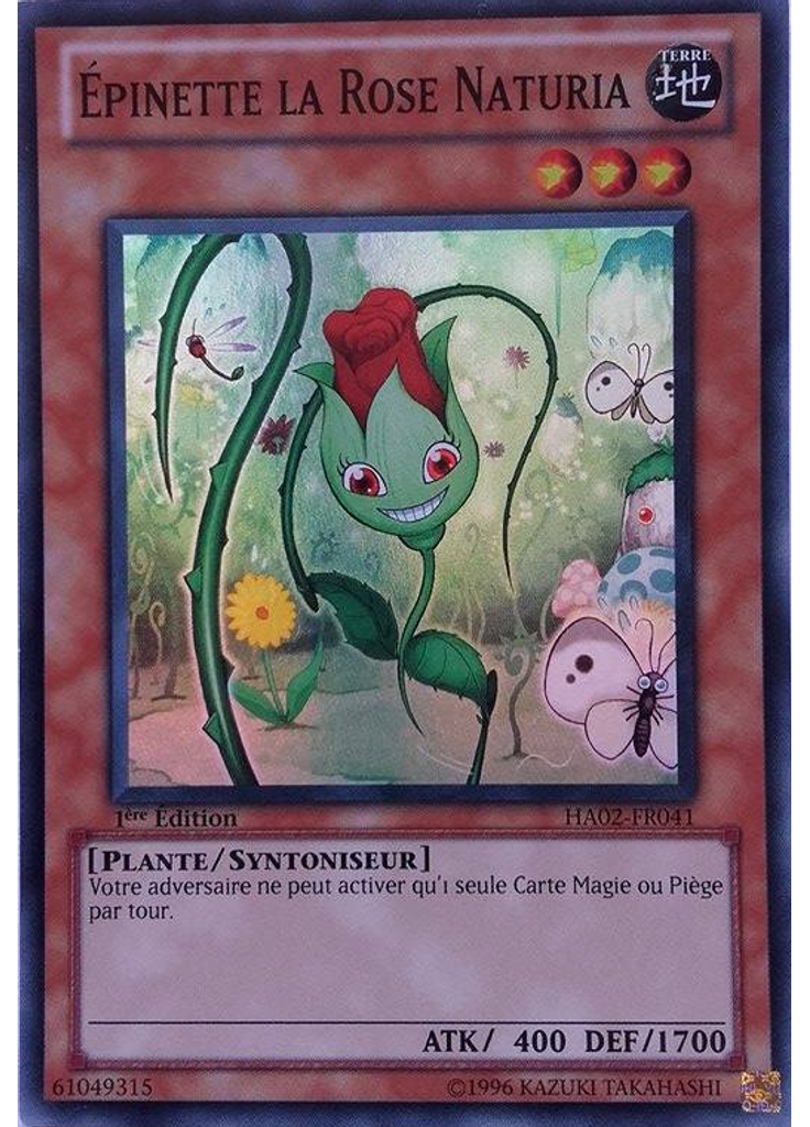 Épinette la Rose Naturia