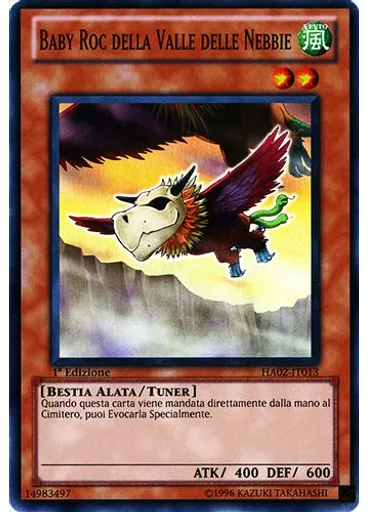 Baby Roc della Valle delle Nebbie