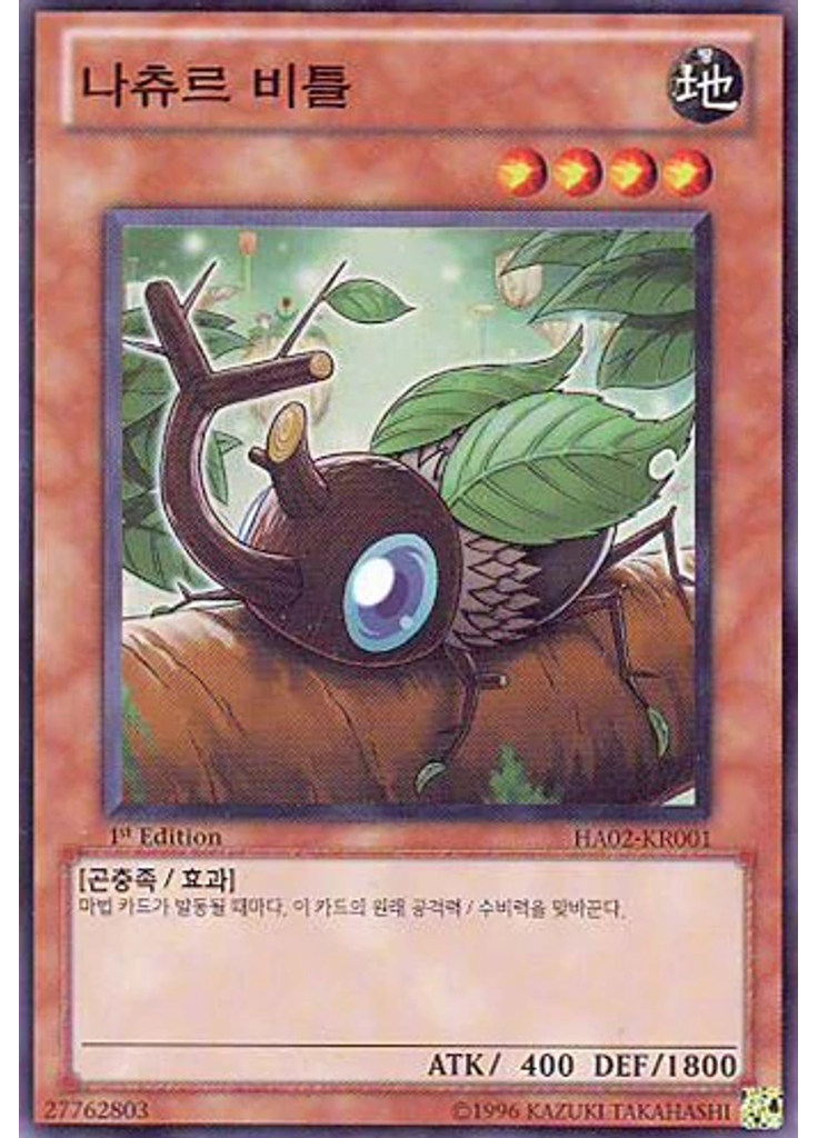 나츄르 비틀