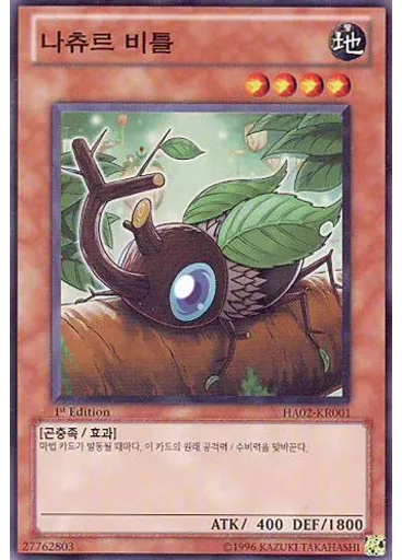 나츄르 비틀