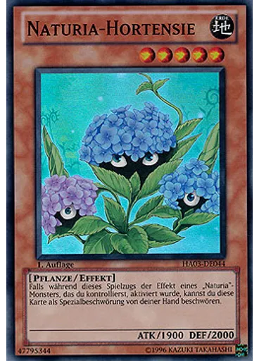 Naturia-Hortensie