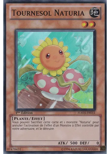 Tournesol Naturia