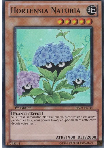 Hortensia Naturia