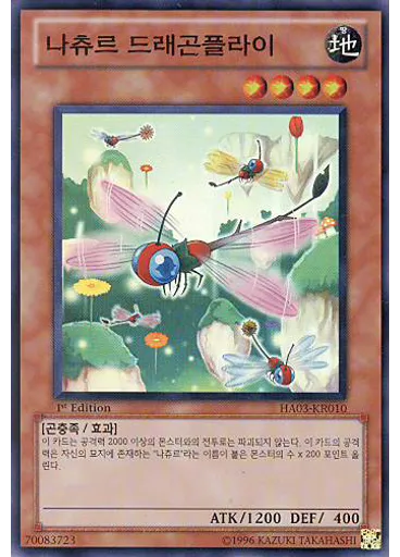 나츄르 드래곤플라이