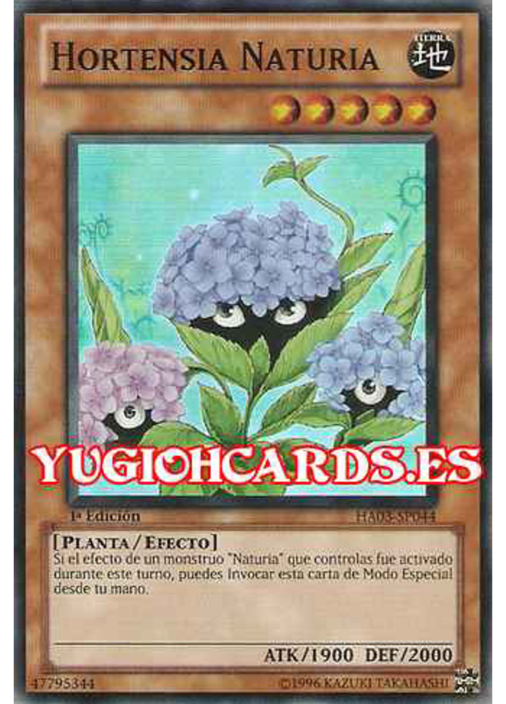 Hortensia Naturia