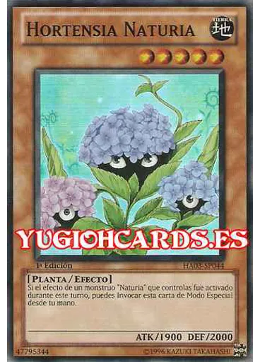 Hortensia Naturia