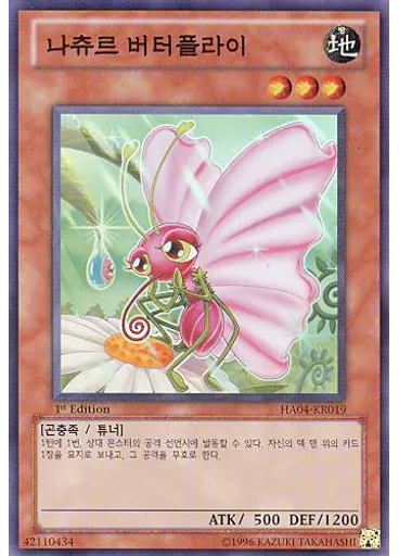 나츄르 버터플라이