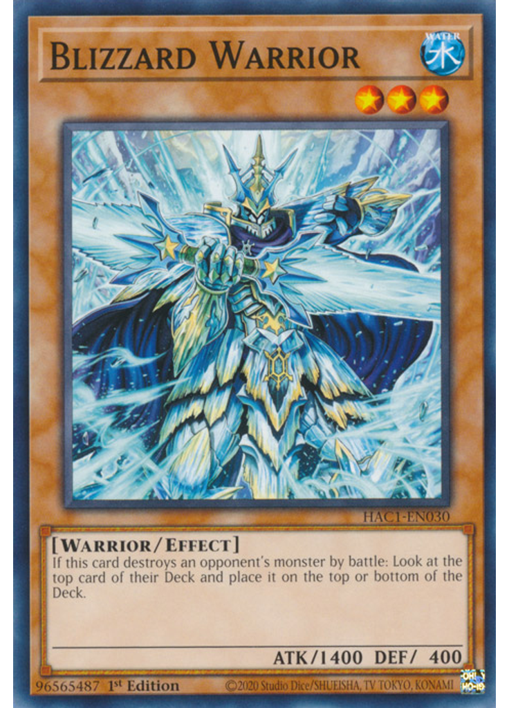 Blizzard Warrior