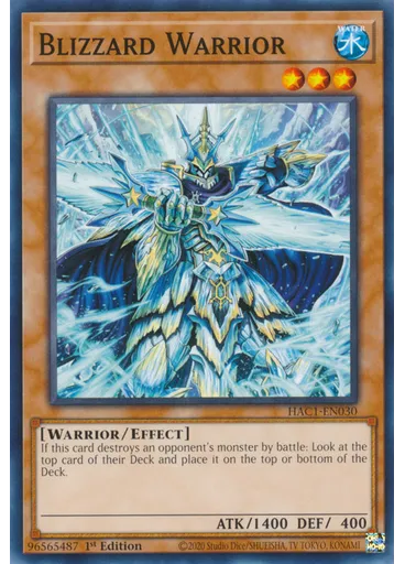 Blizzard Warrior