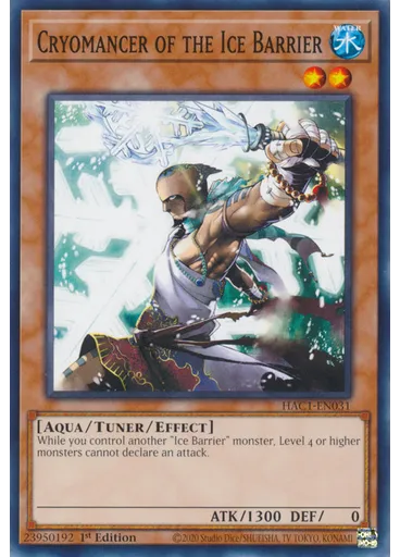 Cryomancer of the Ice Barrier