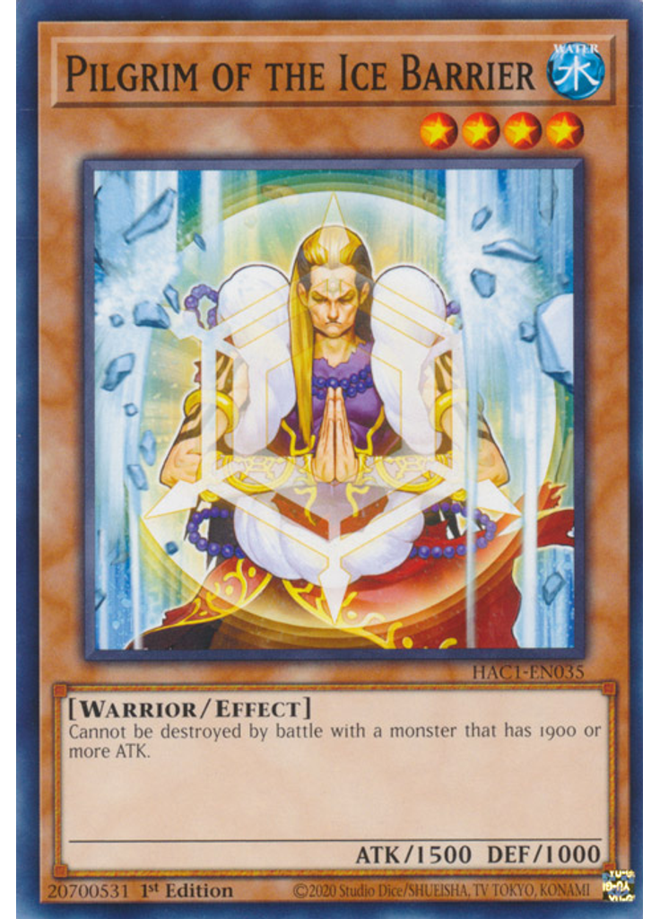 Pilgrim of the Ice Barrier