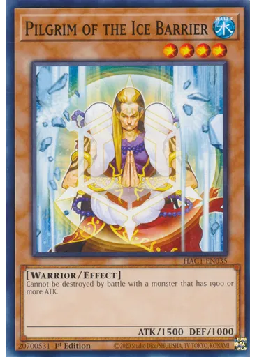 Pilgrim of the Ice Barrier