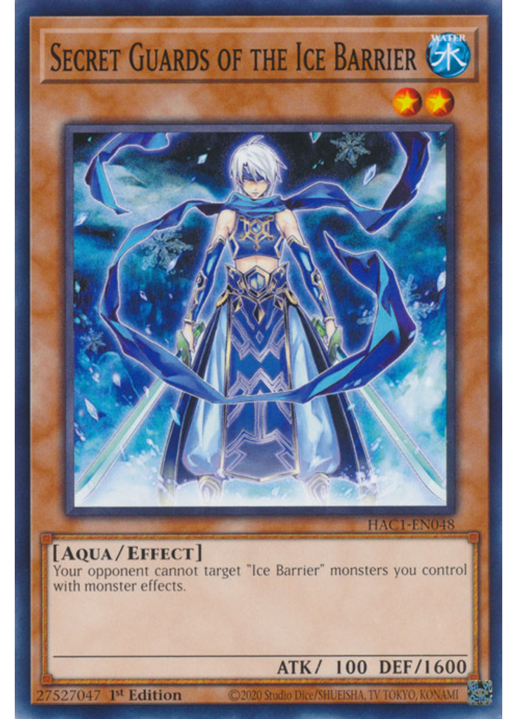 Secret Guards of the Ice Barrier