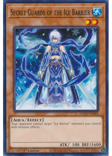 Secret Guards of the Ice Barrier