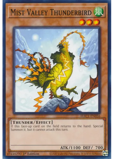 Mist Valley Thunderbird