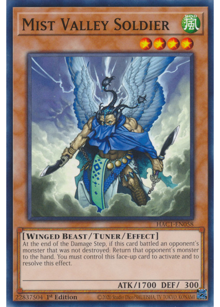 Mist Valley Soldier