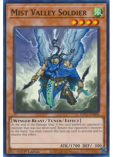 Mist Valley Soldier