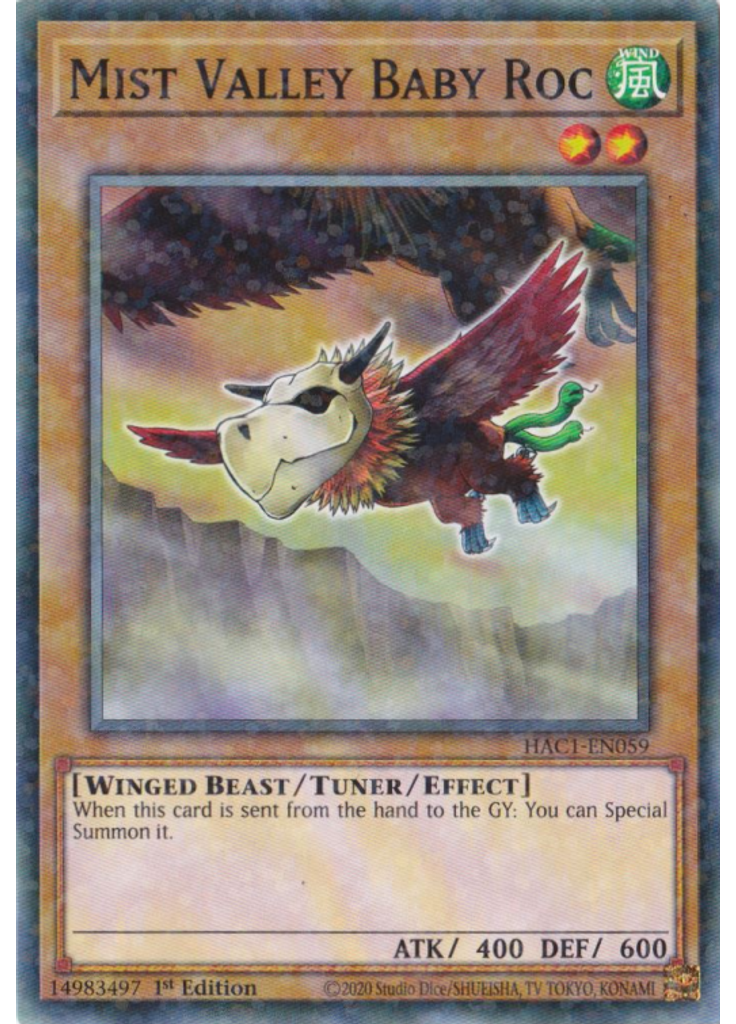 Mist Valley Baby Roc (Duel Terminal Normal Parallel Rare 1st Edition)