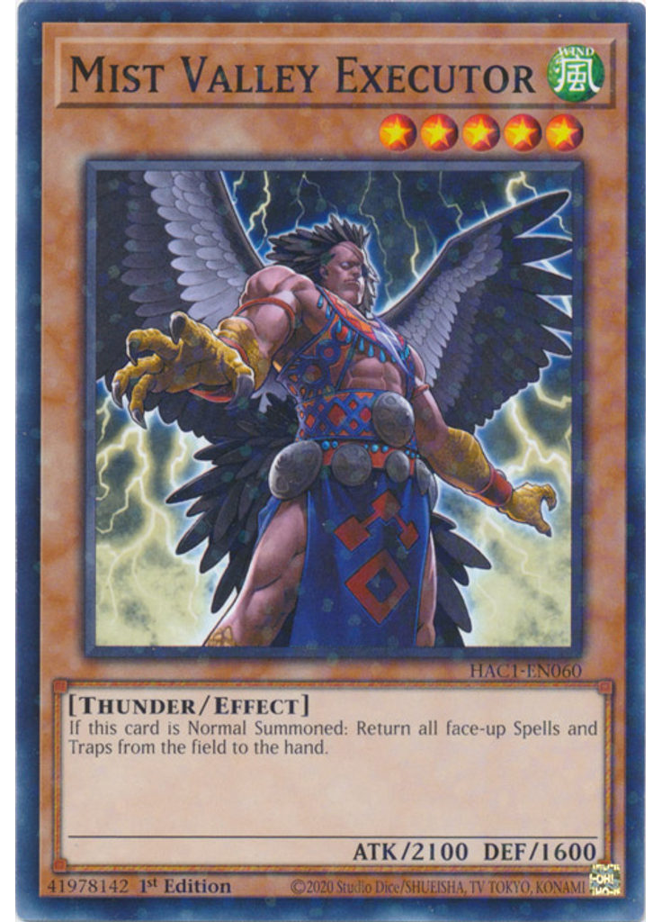 Mist Valley Executor (Duel Terminal Normal Parallel Rare 1st Edition)
