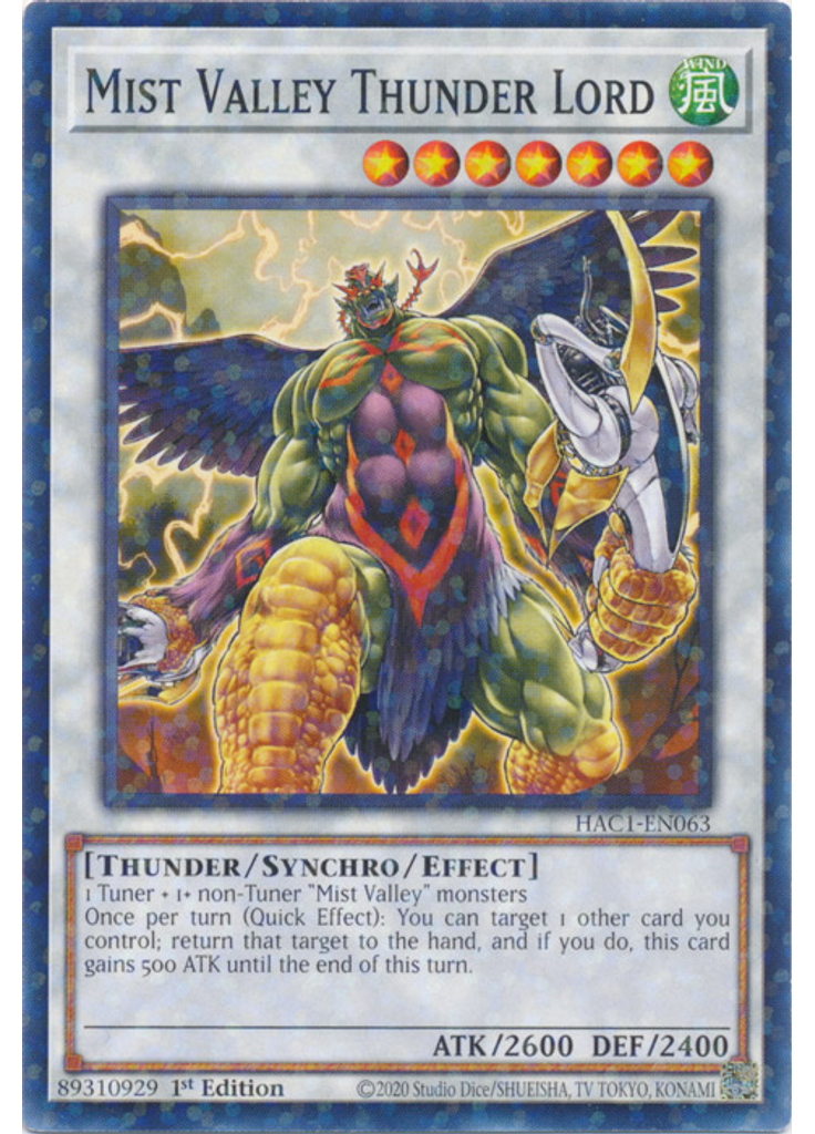 Mist Valley Thunder Lord (Duel Terminal Normal Parallel Rare 1st Edition)