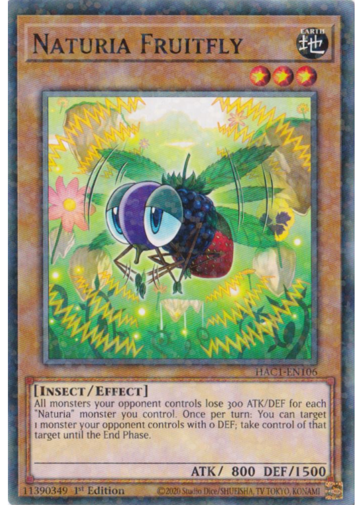 Naturia Fruitfly (Duel Terminal Normal Parallel Rare 1st Edition)