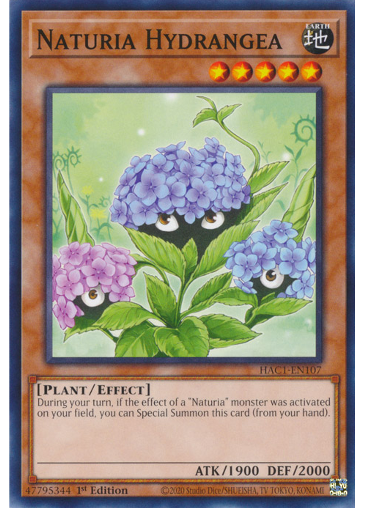 Naturia Hydrangea