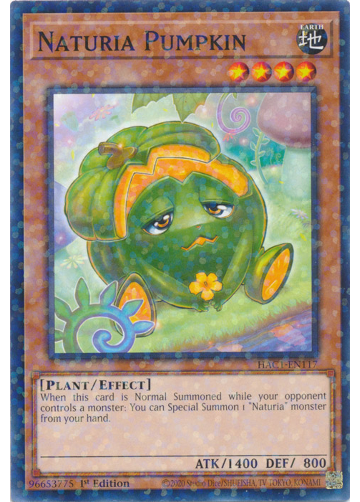 Naturia Pumpkin (Duel Terminal Normal Parallel Rare 1st Edition)