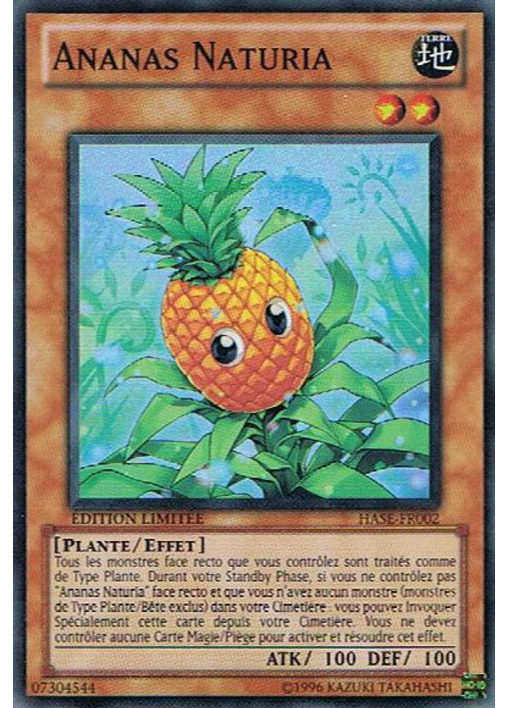 Ananas Naturia