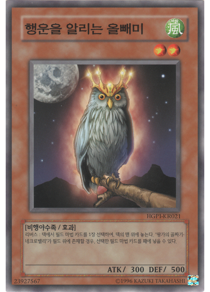행운을 알리는 올빼미