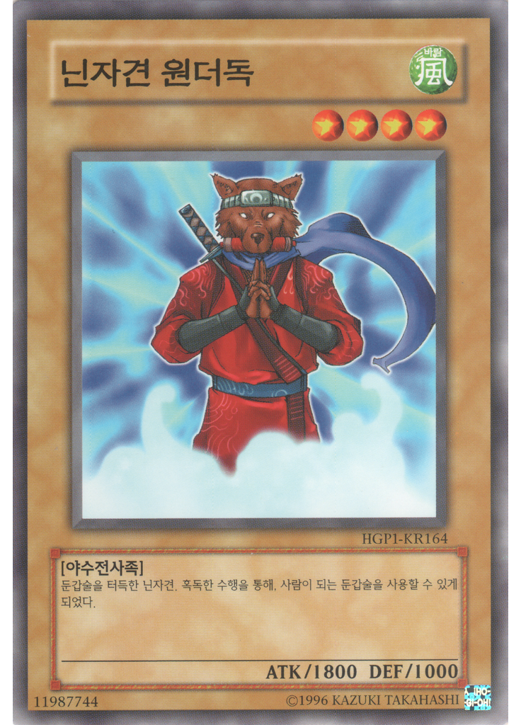 닌자견 원더독