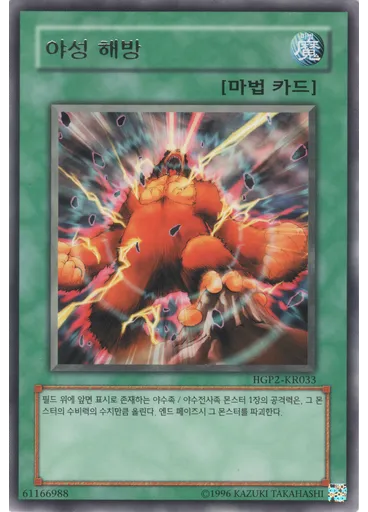 야성 해방