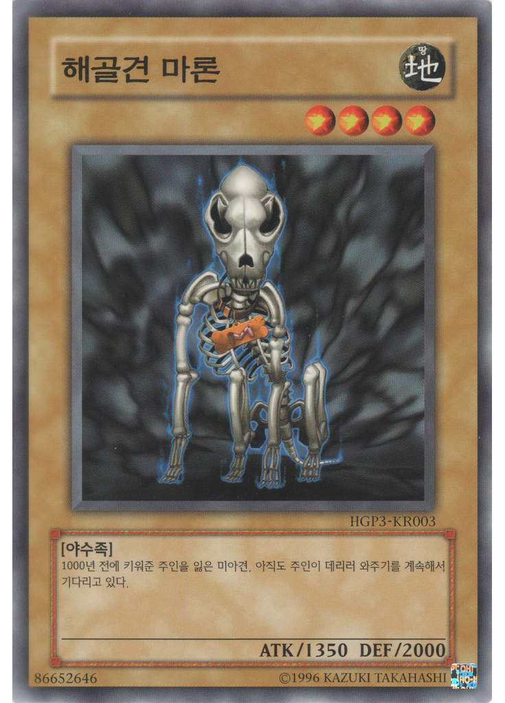 해골견 마론