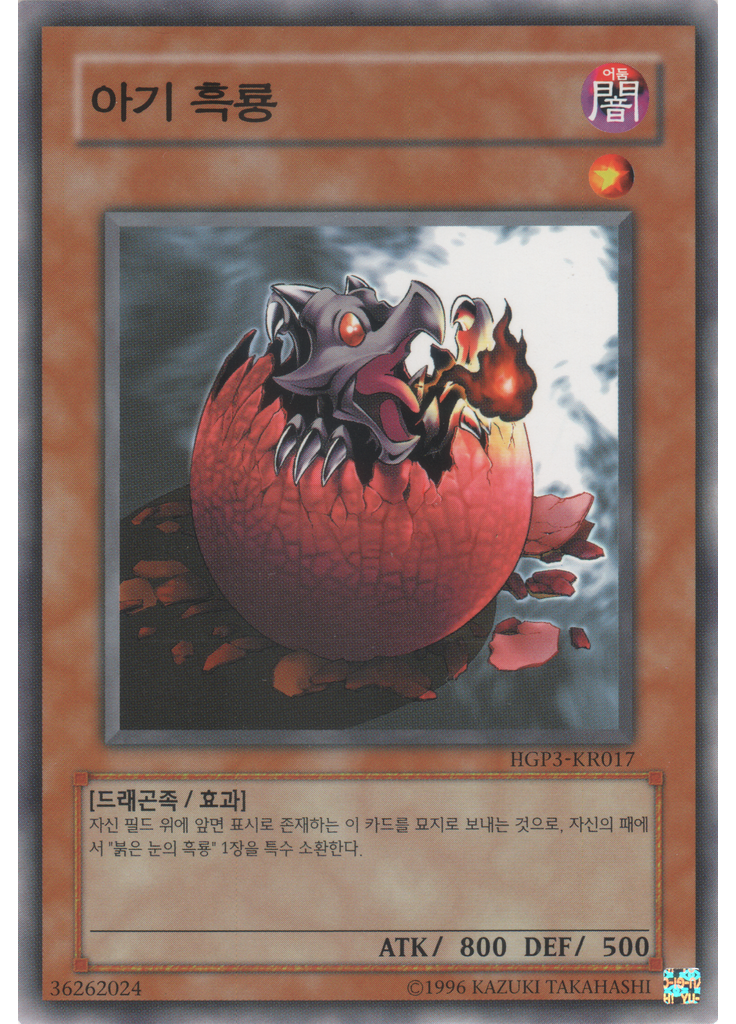아기 흑룡