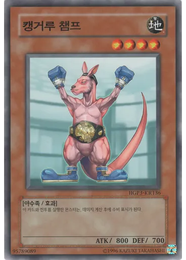 캥거루챔프