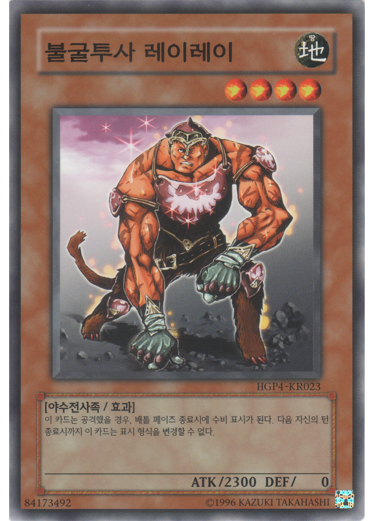 불굴투사 레이레이