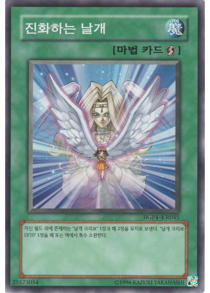 진화하는 날개